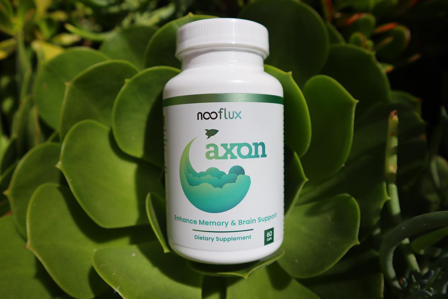 Axon - Memory & Brain Support (Dietary Supplement)