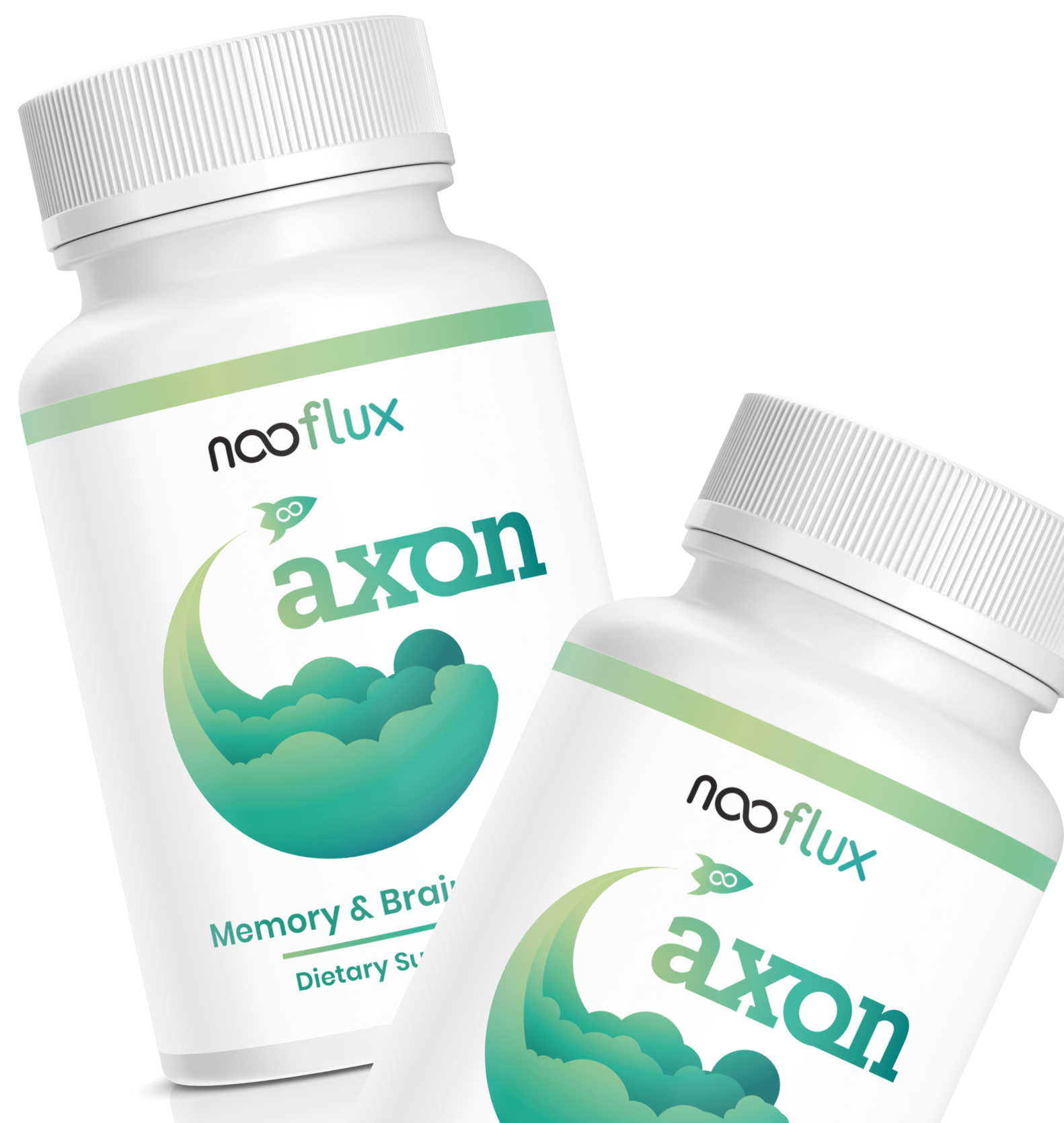 axon-axon.png?v=1736469435\u0026width=1500